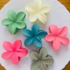 Premium Big Mat Flower Hair Claws