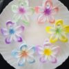 Big Size Dual Shade Hair Claw