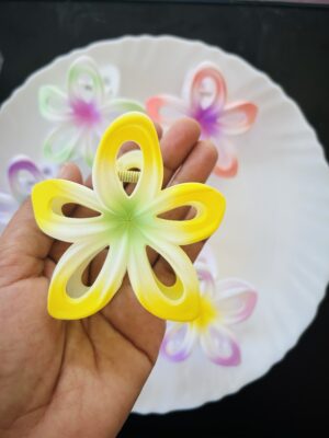 Big Size Dual Shade Hair Claw