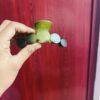 Big Size Dual Shade Bubble Claw