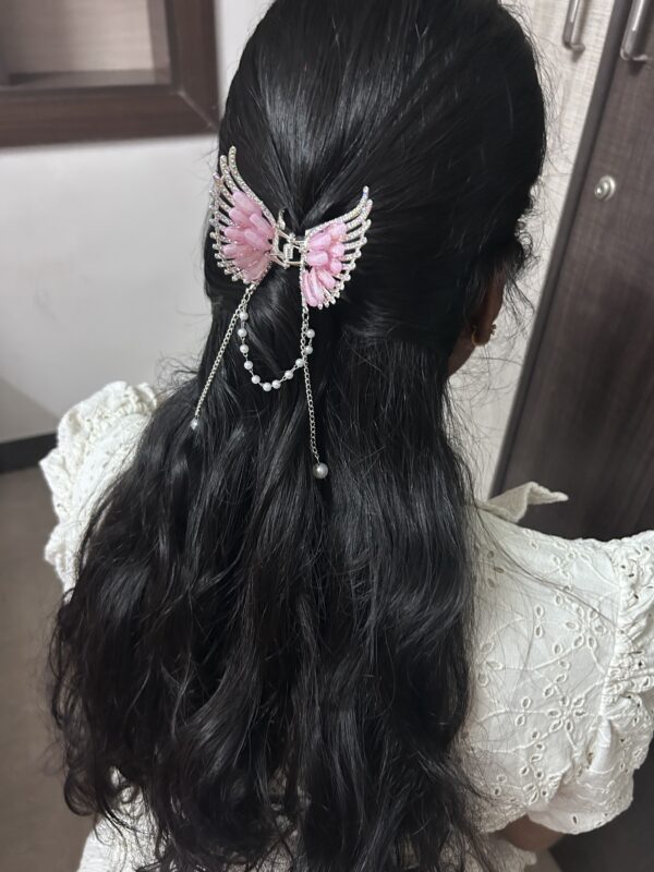 Premium Butterfly Colourful Tassel Hair Claw